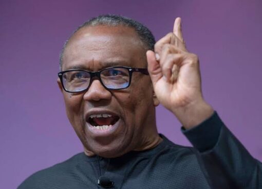 Rising insecurity in Borno, Obi cries out
