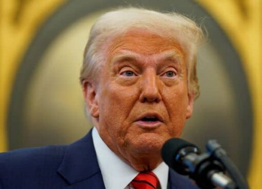 So Many Nigerian Words! Where Did Those Come From?’: President Trump Meets Prof Ugwuanyị