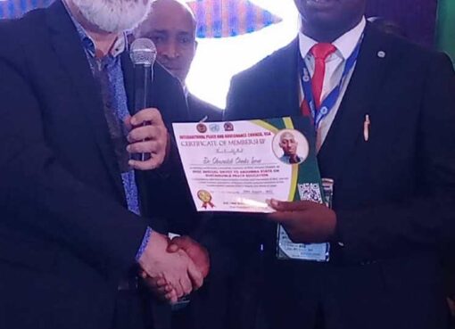 Int’l Day Of Peace: UN Peace Envoy, Obieze, Calls For Global Unity, Safety