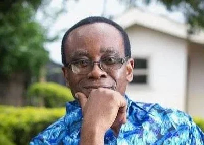 Environmentalist, Nnimmo Bassey joins Swedish Right Livelihood Foundation Board